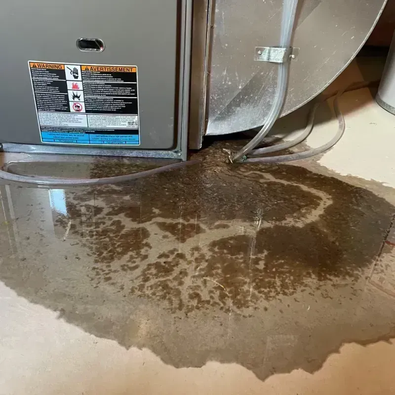 Appliance Leak Cleanup in Granville, IL